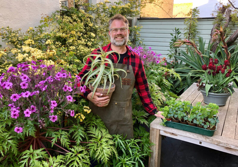 Pink Lady competition® winner visits The Frustrated Gardener