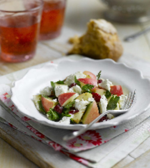 Goat's Cheese and Apple Snack Salad
