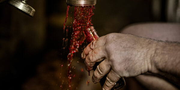 5 Errazuriz Wine Photographer of the Year Produce Patrick Desgraupes Clos St Patrice Lo Res credited